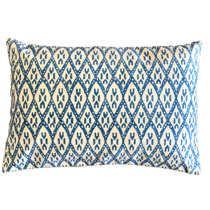 Lt Blue Ikat Block Print Canvas Cotton Cushion Cover Pillow 2Pcs - Adore India   